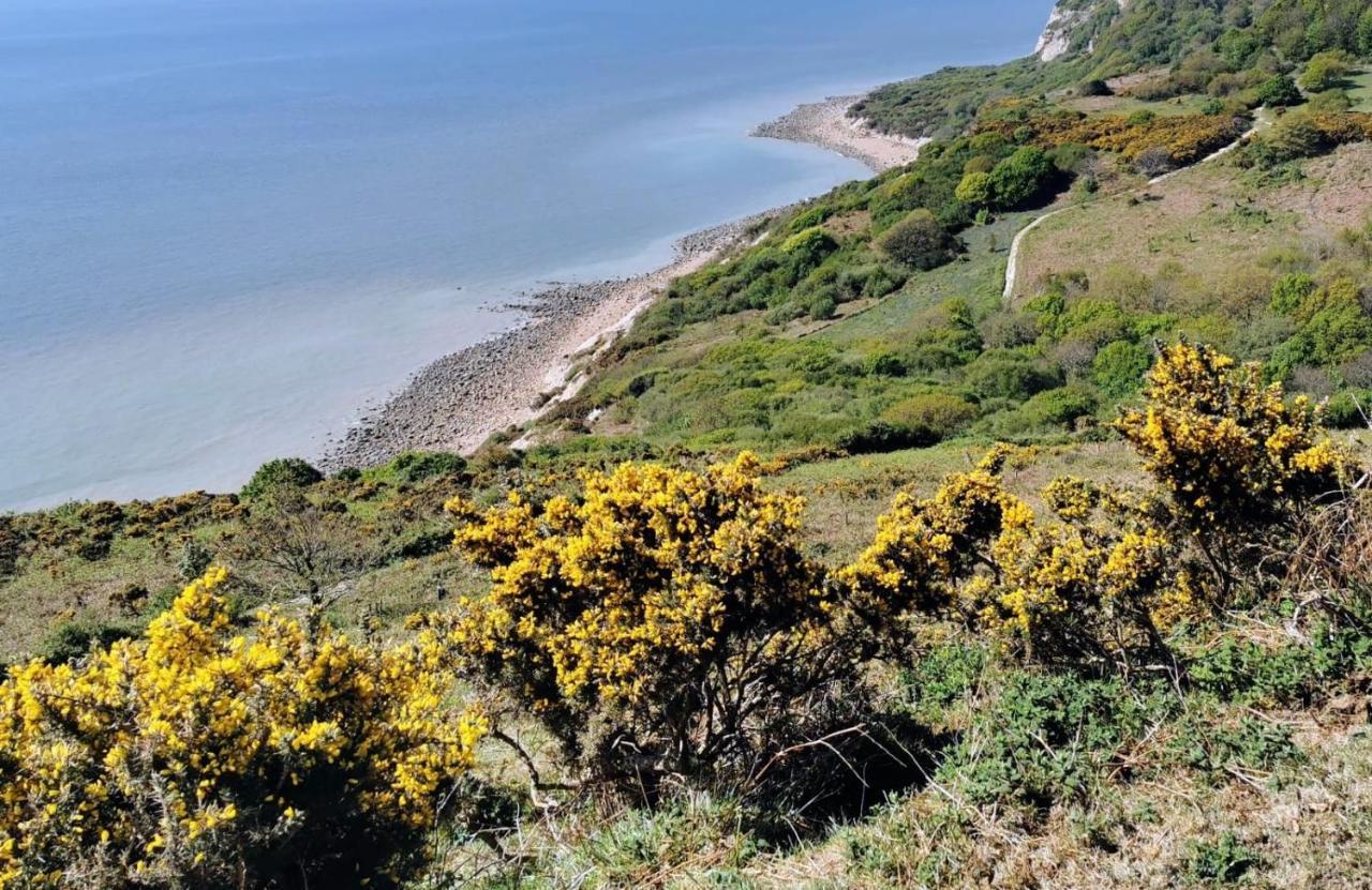 Elegant Spacious Seaside Apartment St Leonards-on-Sea Bagian luar foto